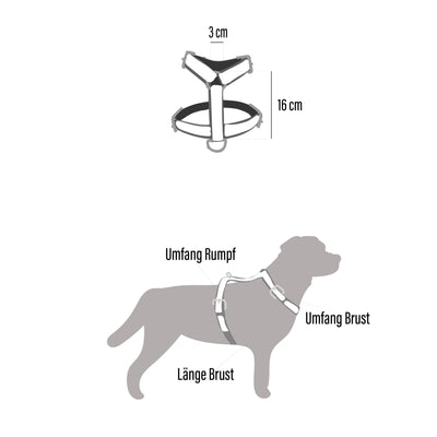 Geschirr Balu (Größe L)