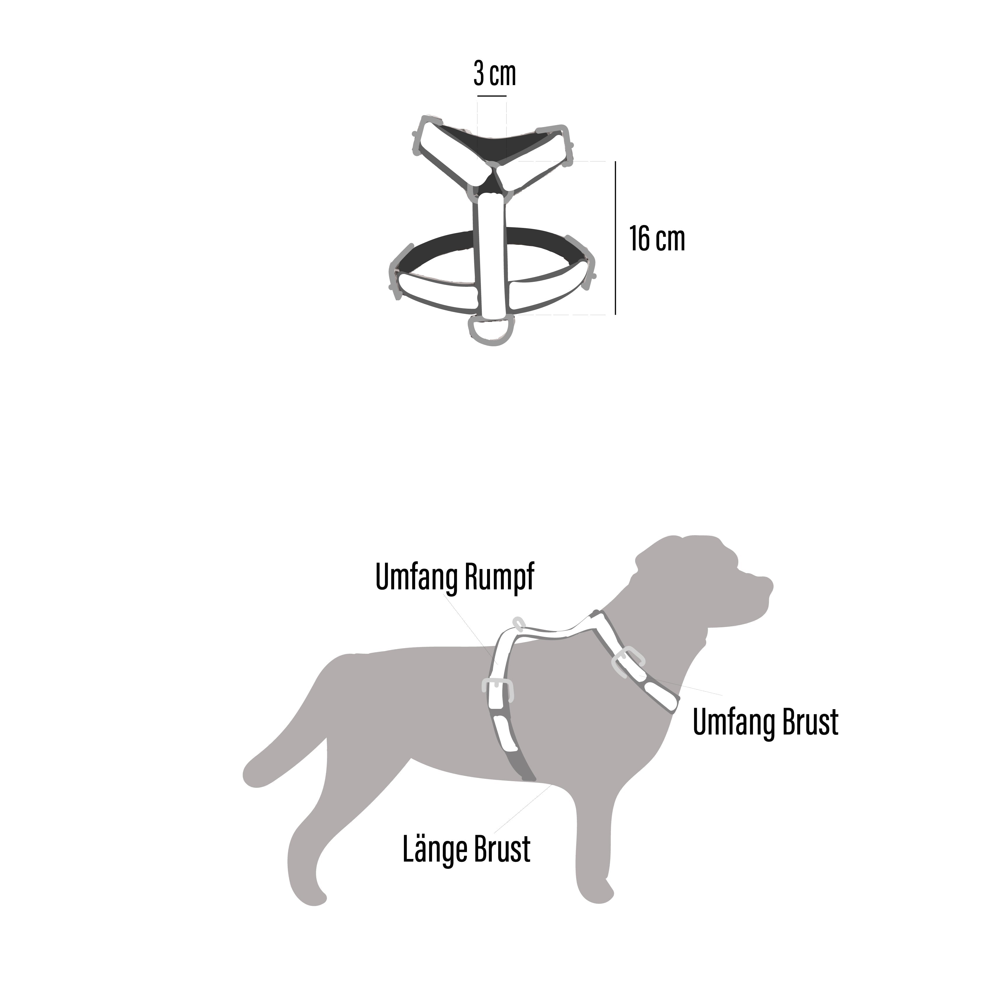 Geschirr Kira (Größe L)