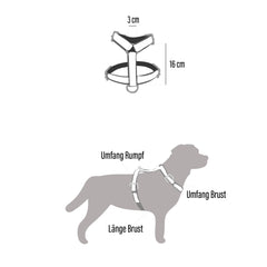 Geschirr Kira (Größe L)