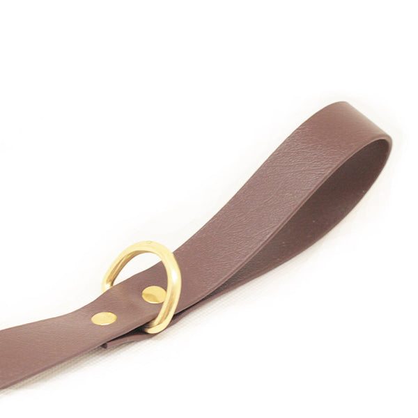 Leine Biothane (125cm)