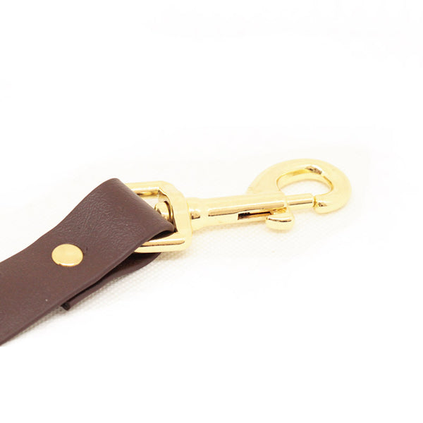 Leine Biothane (125cm)