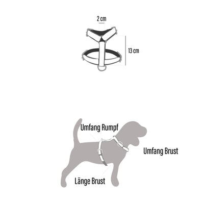 Geschirr Zuri (Größe M)