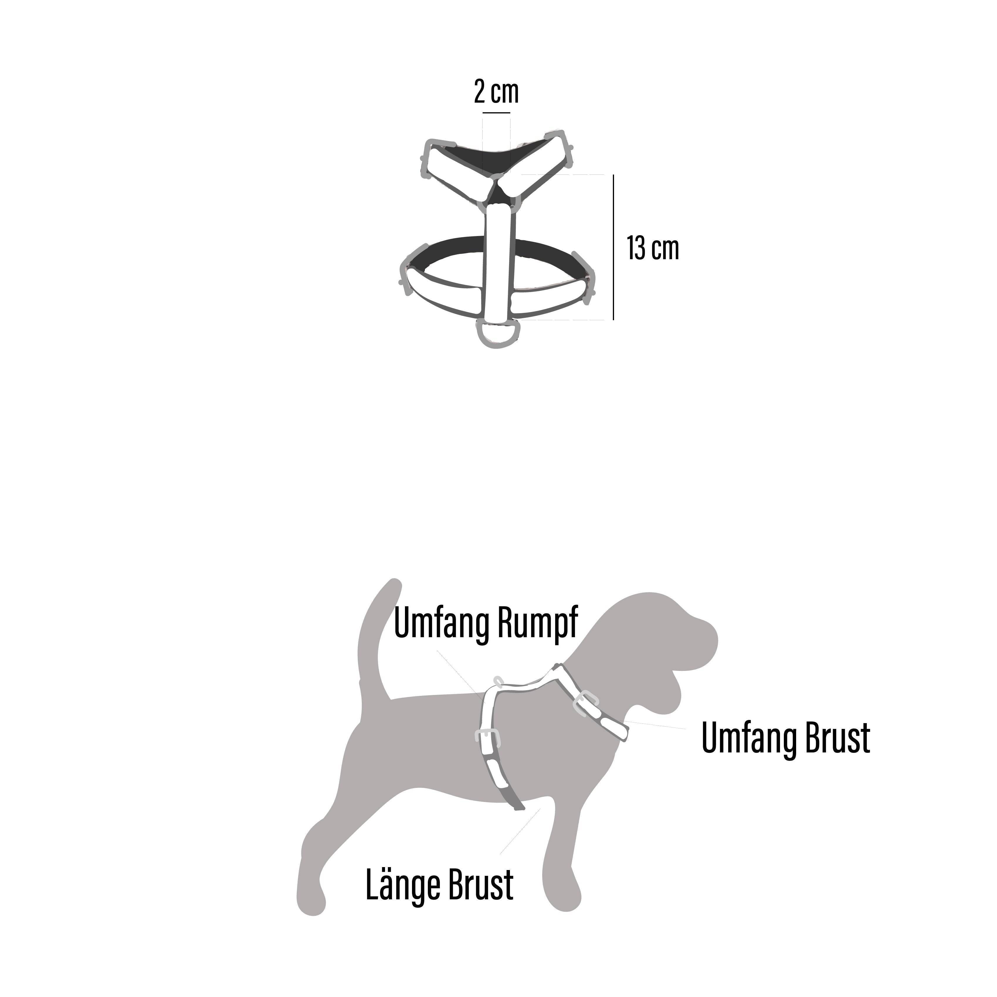 Geschirr Kira (Größe M)