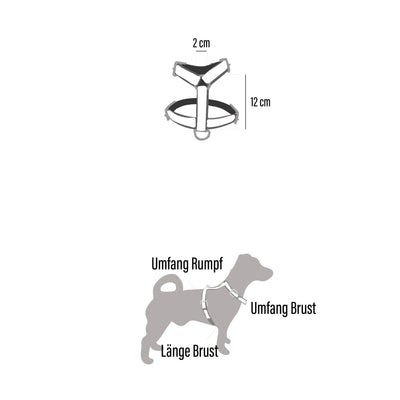 Geschirr Zuri (Größe S)