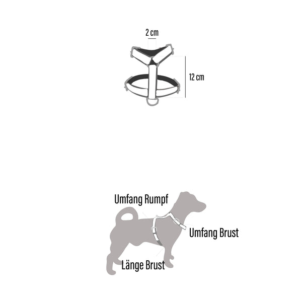 Geschirr Zuri (Größe S)