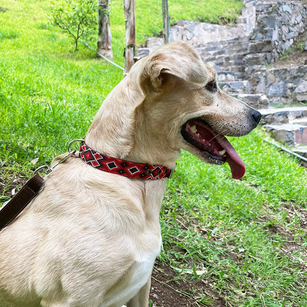 Lola (Größe M, schmal)